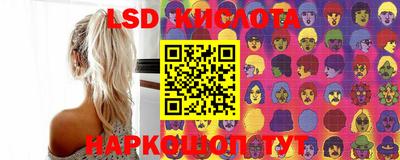 дмт Бийск